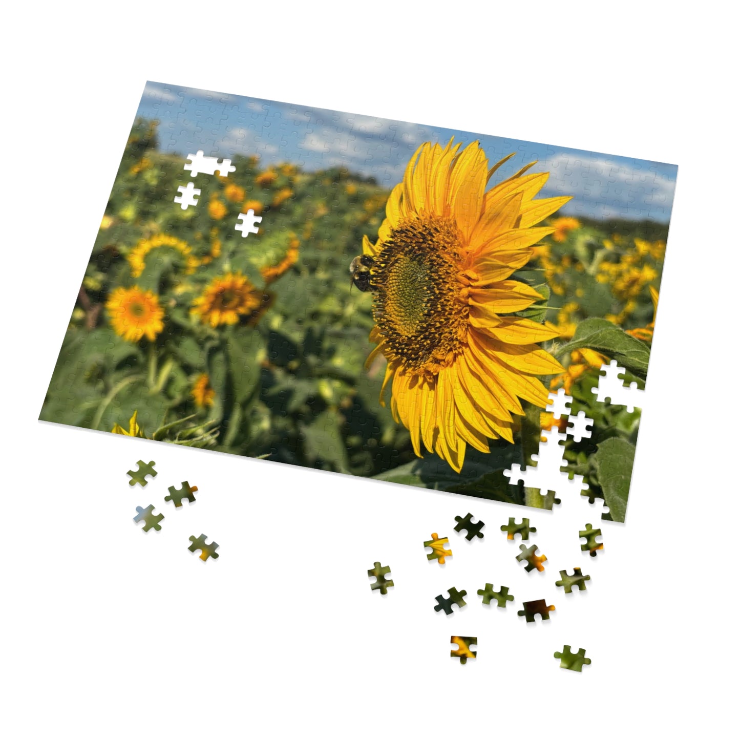 Jigsaw Puzzle - Bumble Bee on a Sunflower