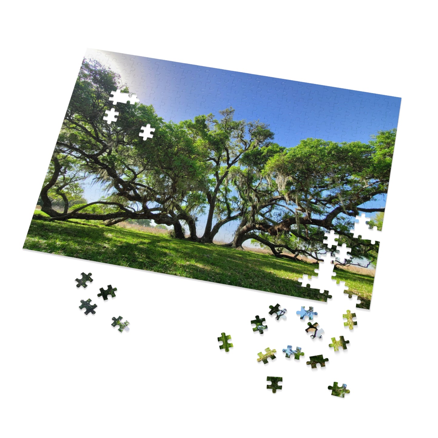 Branch Out with Our Oak Tree Puzzle!, Jigsaw Puzzle with Tin