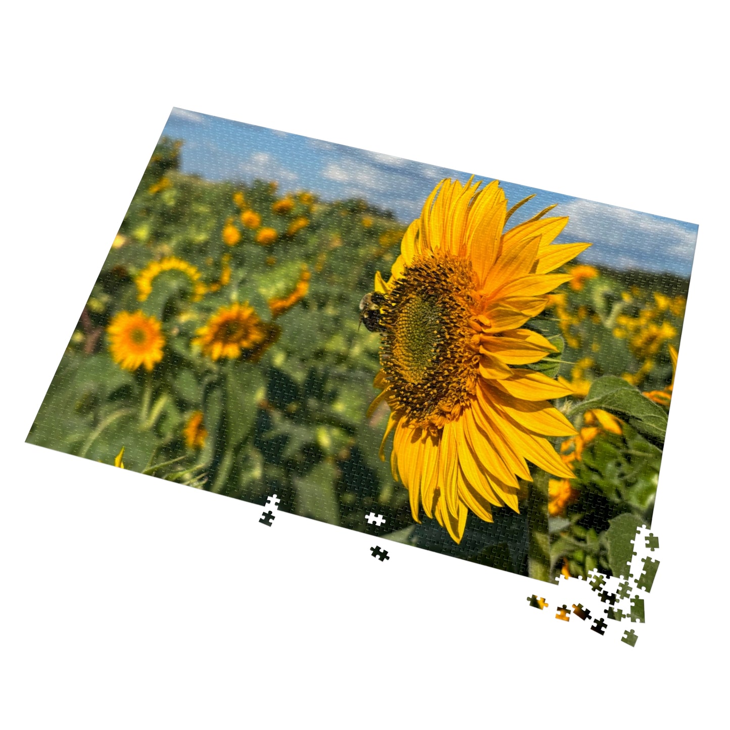 Jigsaw Puzzle - Bumble Bee on a Sunflower