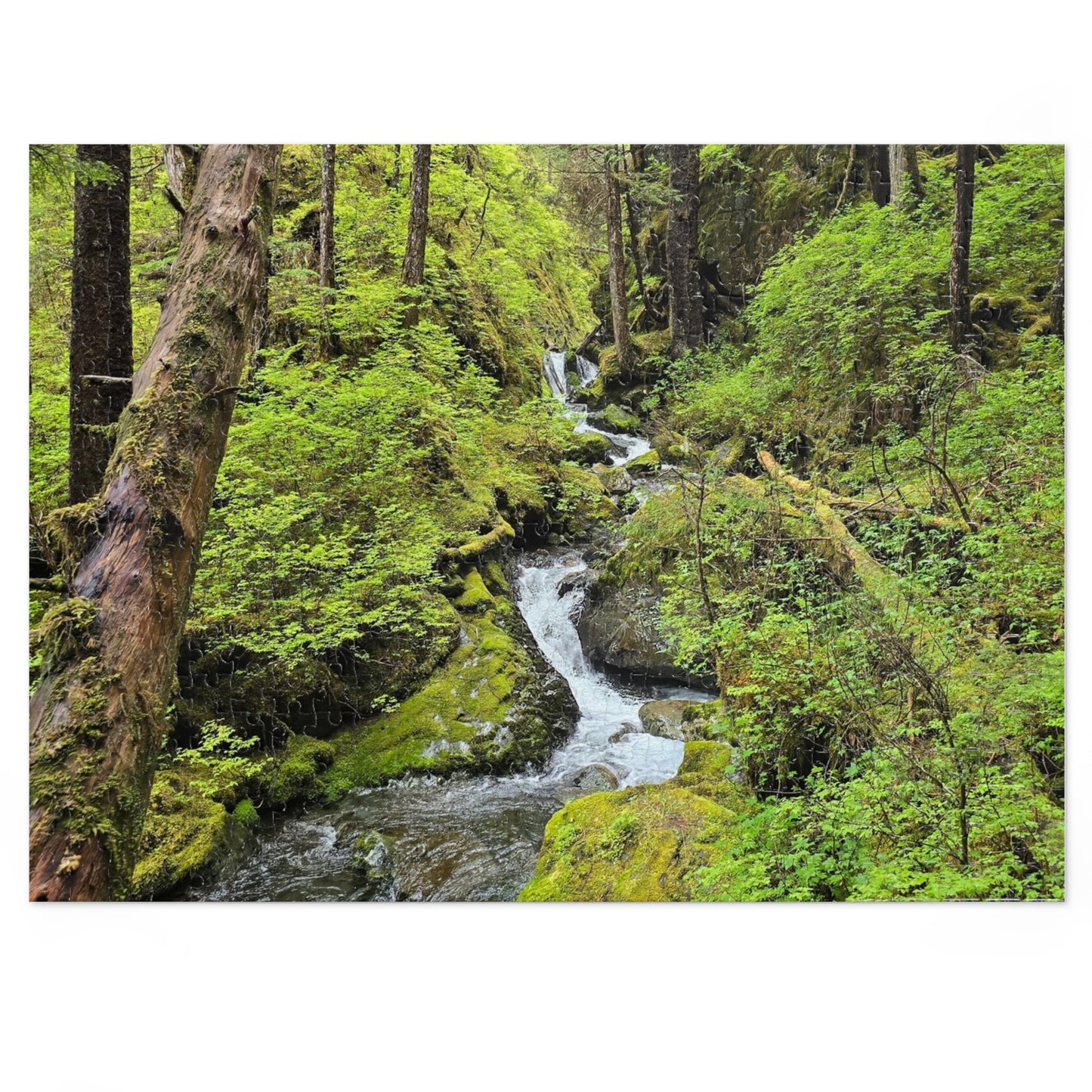 Jigsaw Puzzle - Alaskan Mountain Stream