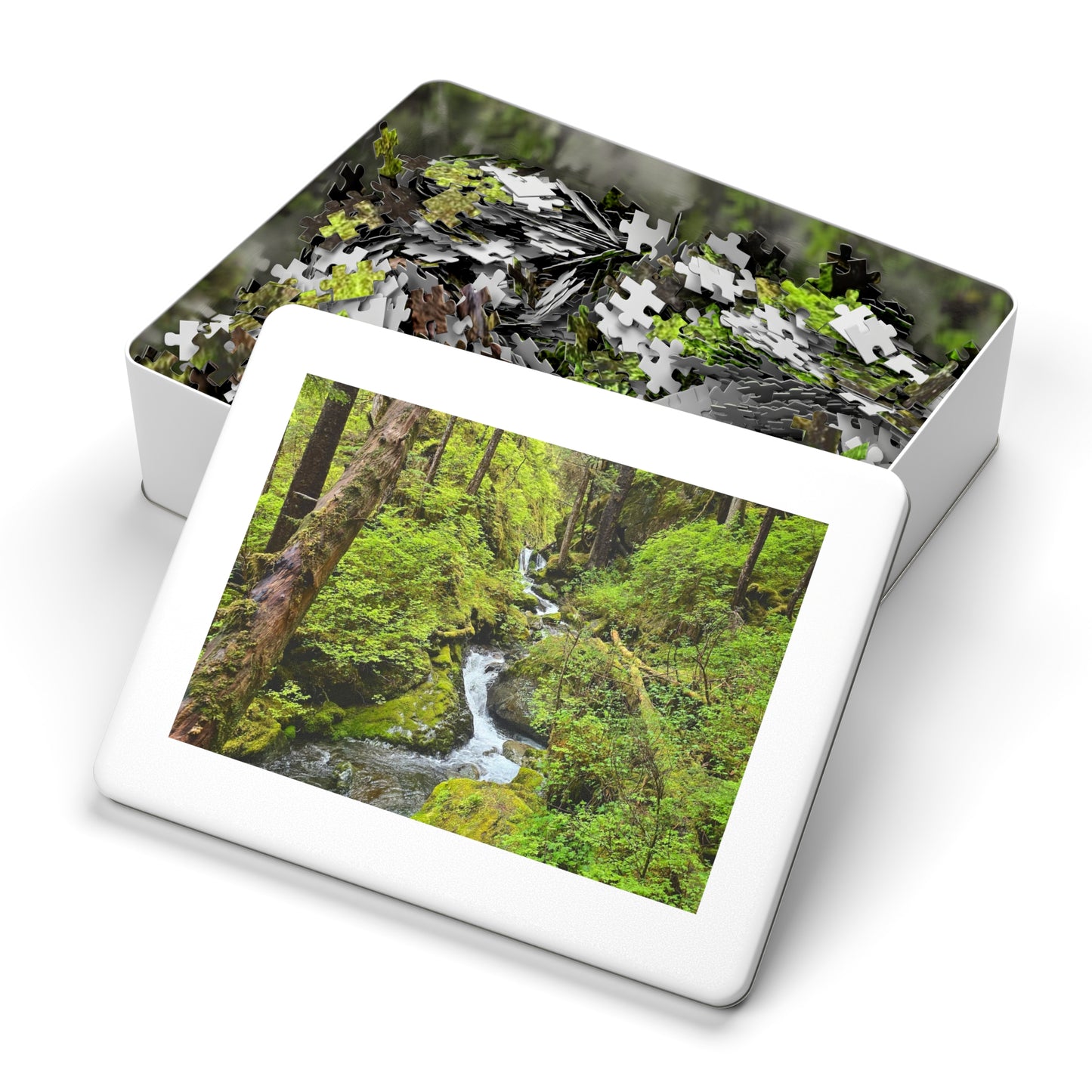 Jigsaw Puzzle - Alaskan Mountain Stream