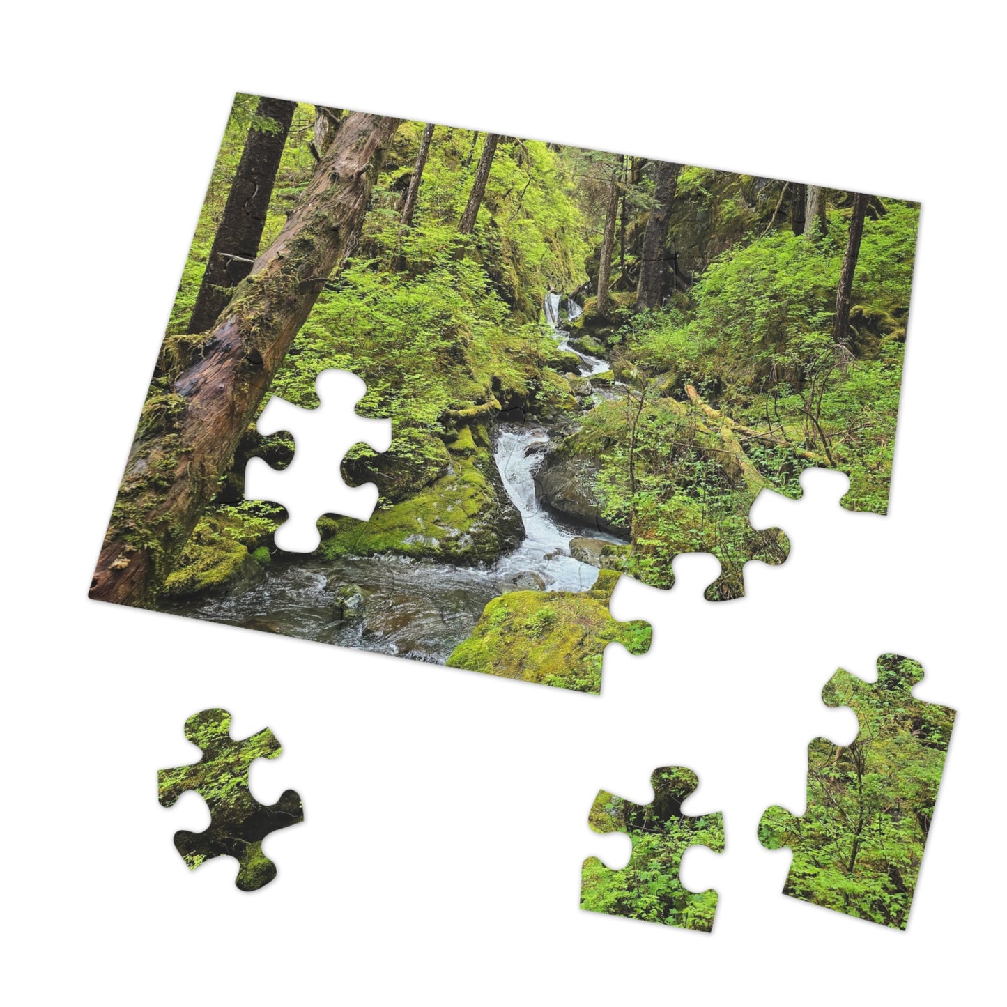 Jigsaw Puzzle - Alaskan Mountain Stream