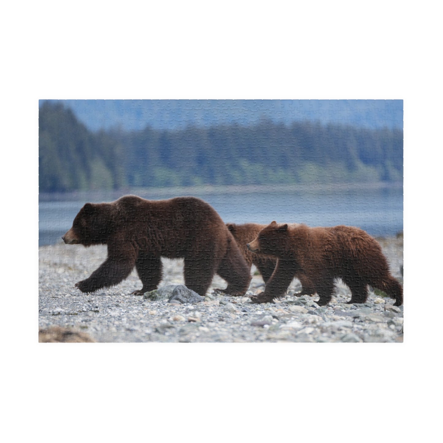 Clamming Up: A Bear-y Fun Puzzle Adventure, Jigsaw Puzzle, Jigsaw Game for Kids and Adults, Wildlife Animal Design, Relaxing Hobby