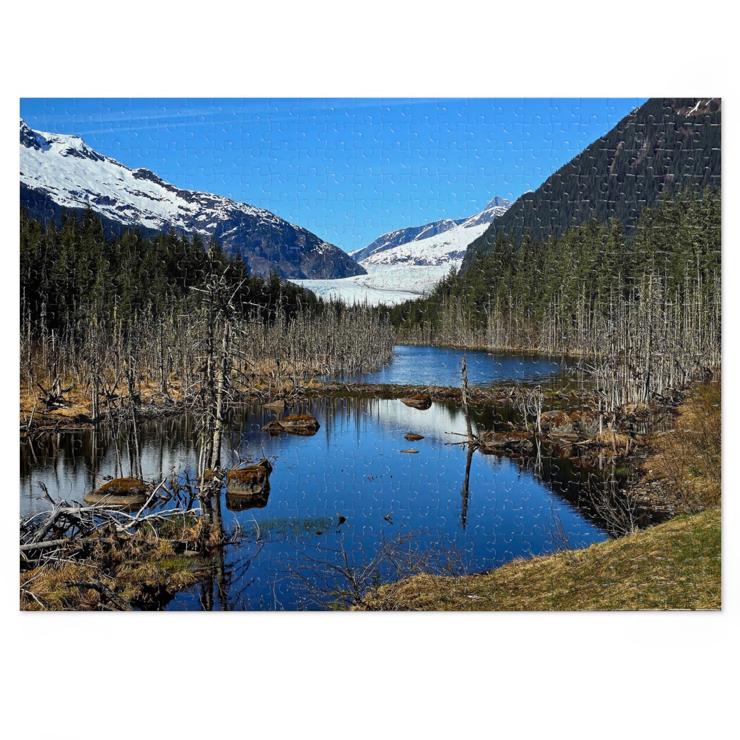 The Coolest Puzzle You’ll Ever Piece Together, Jigsaw Puzzle, Mendenhall Glacier