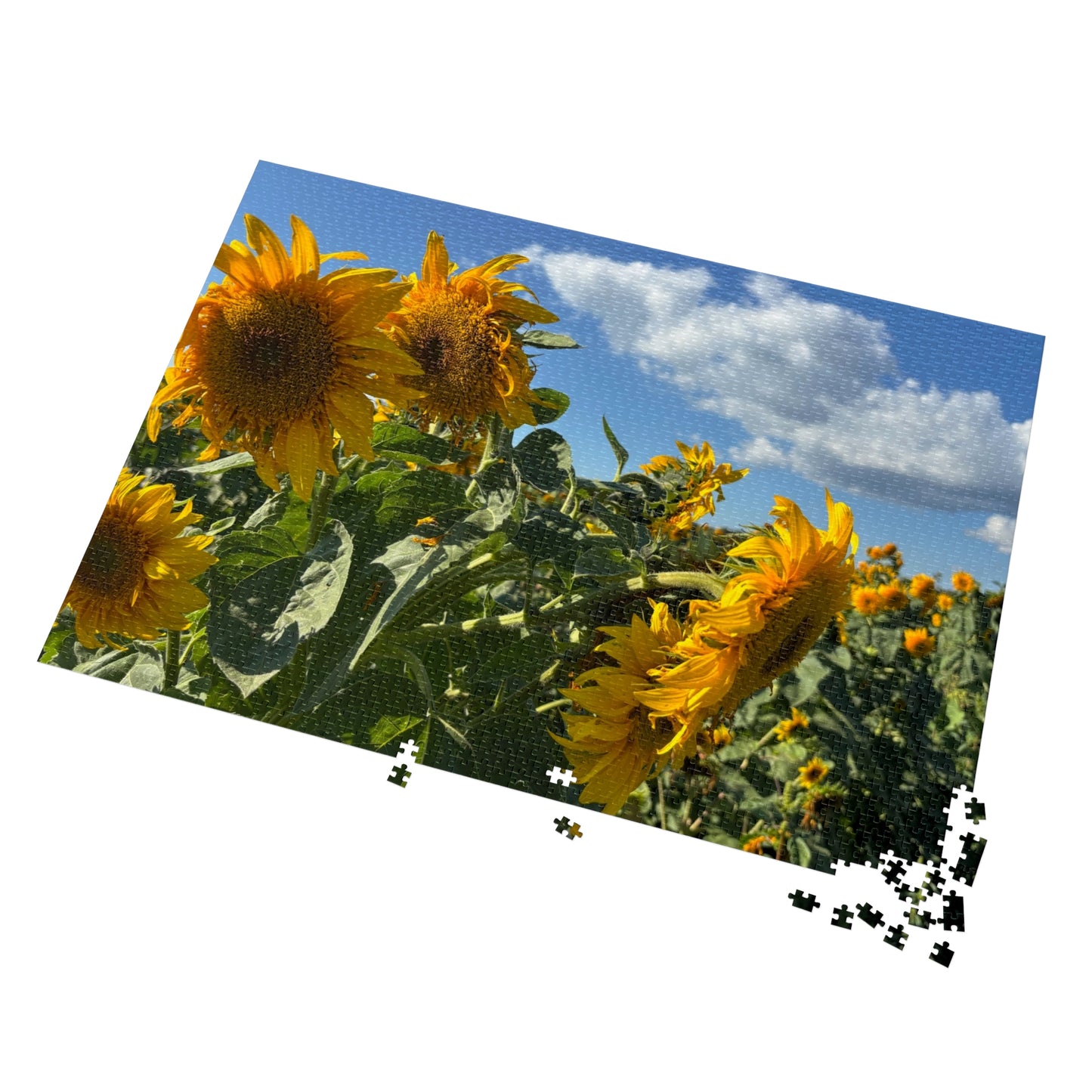 Jigsaw Puzzle: Afternoon Sunflower