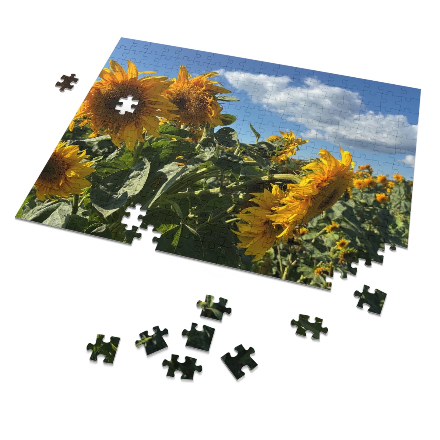 Jigsaw Puzzle: Afternoon Sunflower