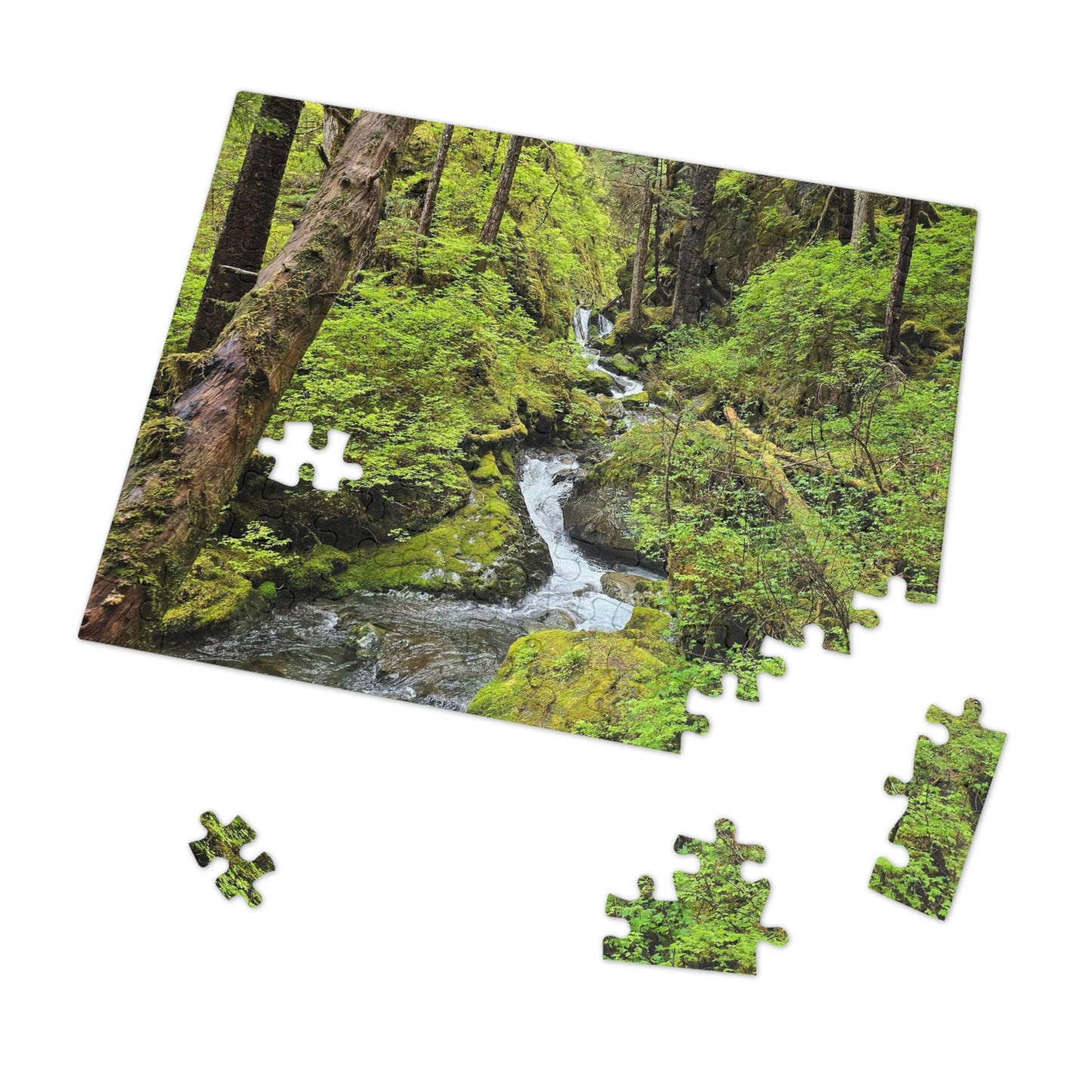 Jigsaw Puzzle - Alaskan Mountain Stream