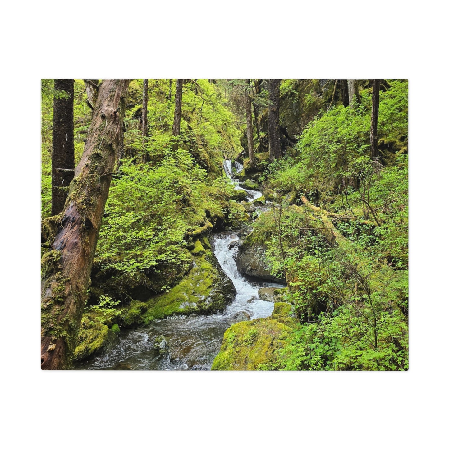 Jigsaw Puzzle - Alaskan Mountain Stream