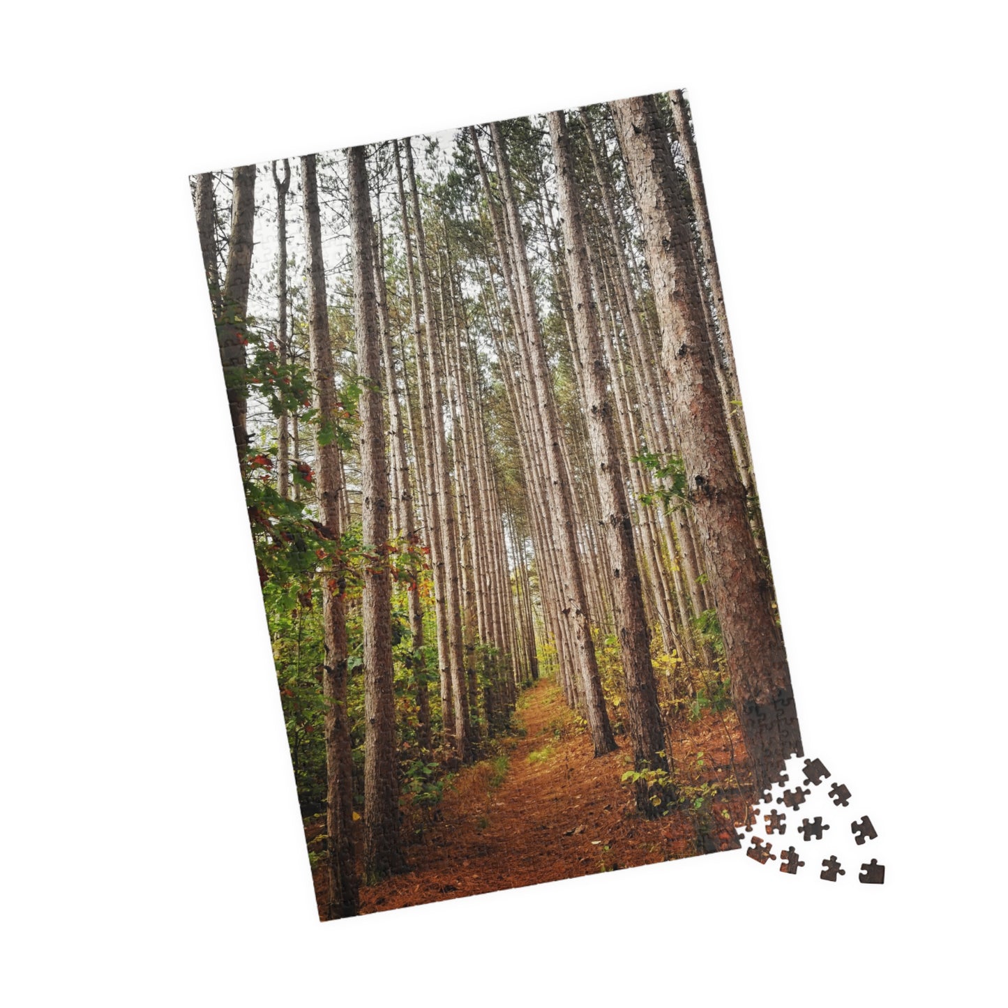 Pine-sational Puzzling: A Walk on the Wild Side, Jigsaw Puzzle, Brain Teaser, Relaxation Activity, Cabin Decor, Holiday Gift
