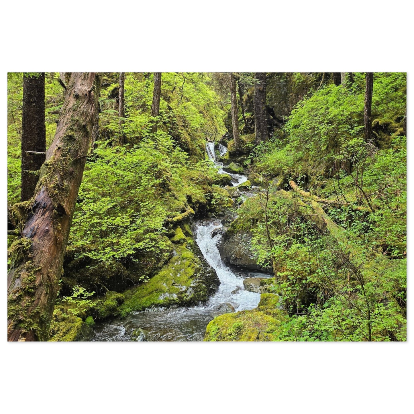 Jigsaw Puzzle - Alaskan Mountain Stream