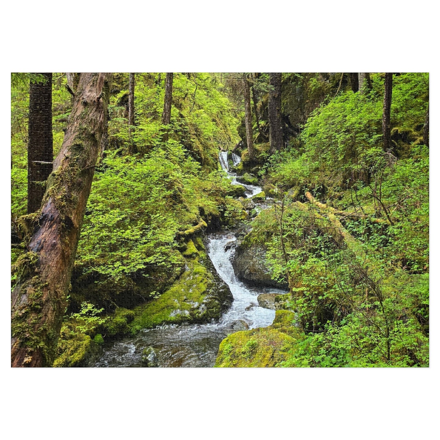Jigsaw Puzzle - Alaskan Mountain Stream