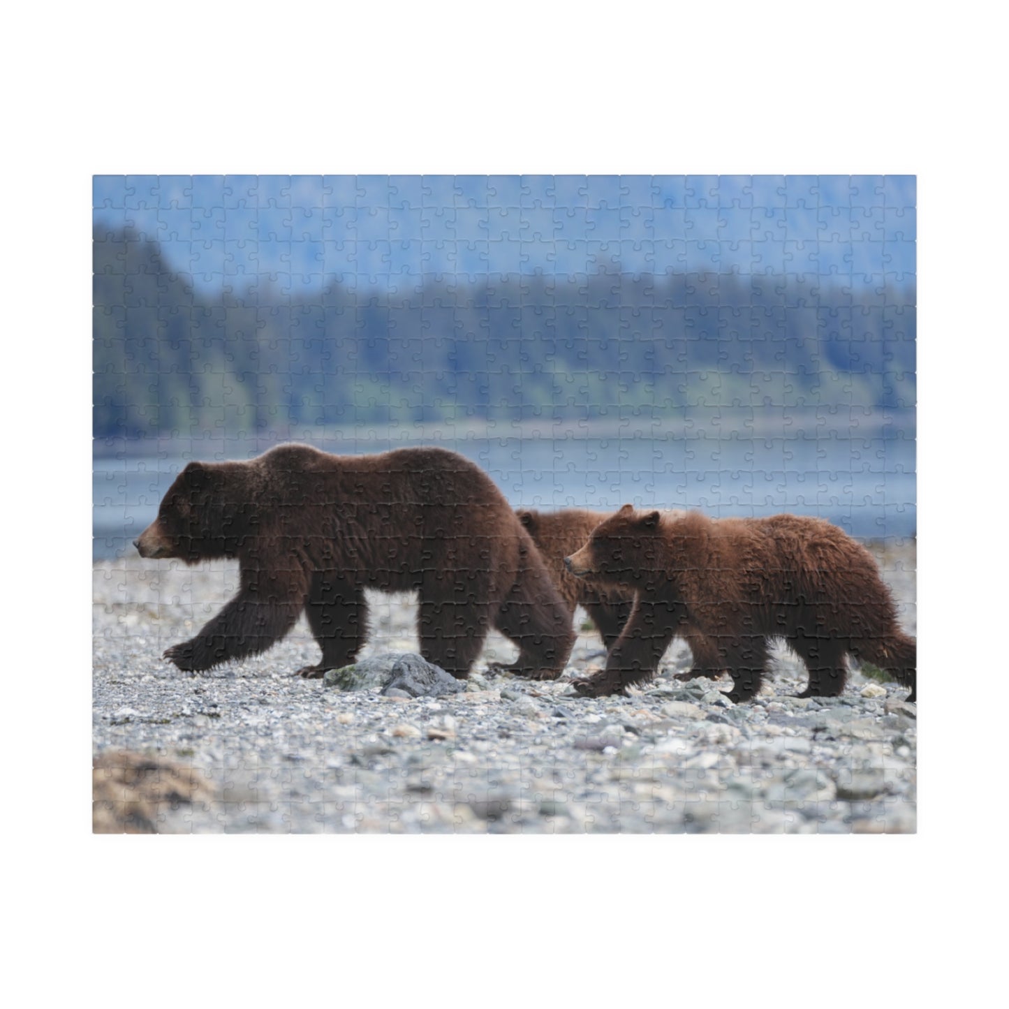 Clamming Up: A Bear-y Fun Puzzle Adventure, Jigsaw Puzzle, Jigsaw Game for Kids and Adults, Wildlife Animal Design, Relaxing Hobby