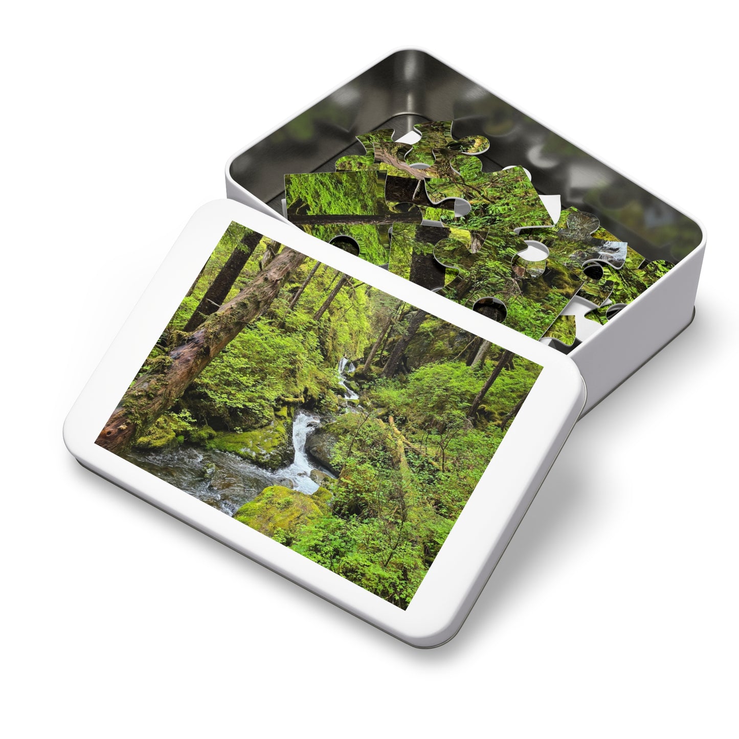 Jigsaw Puzzle - Alaskan Mountain Stream
