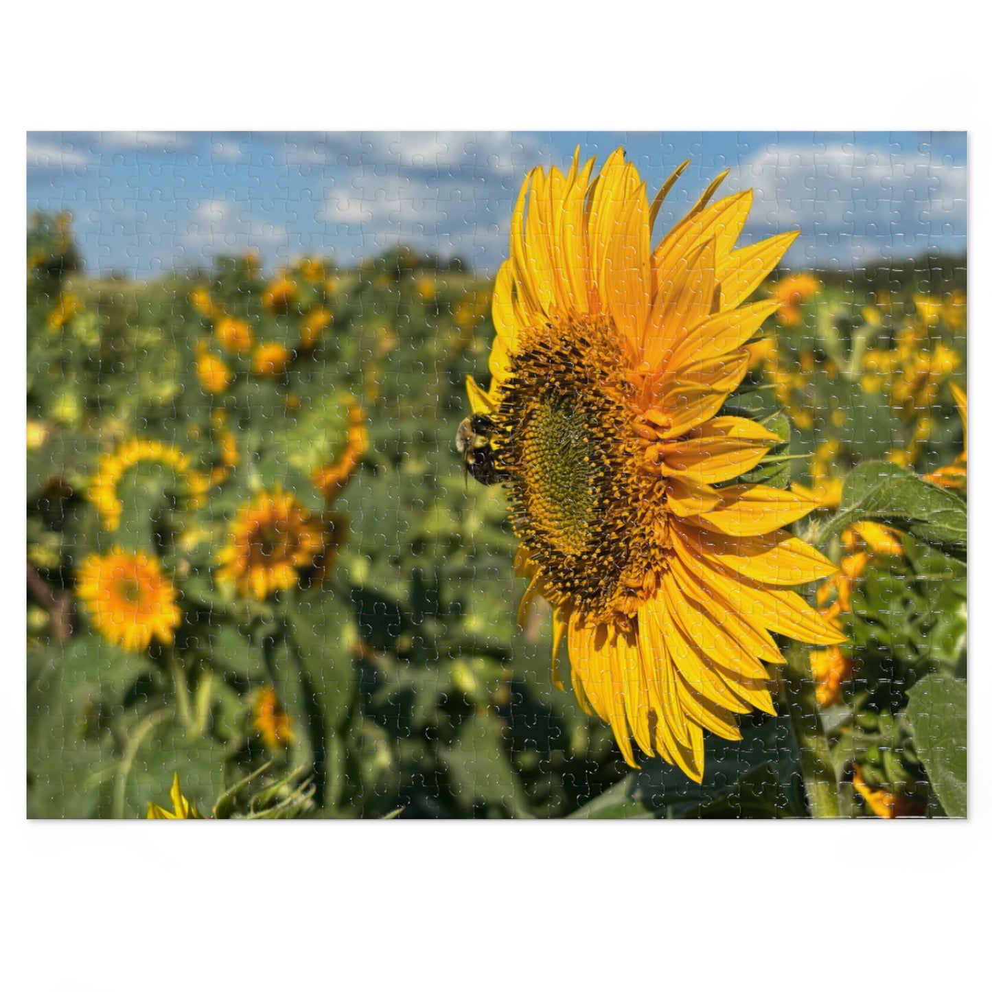 Jigsaw Puzzle - Bumble Bee on a Sunflower