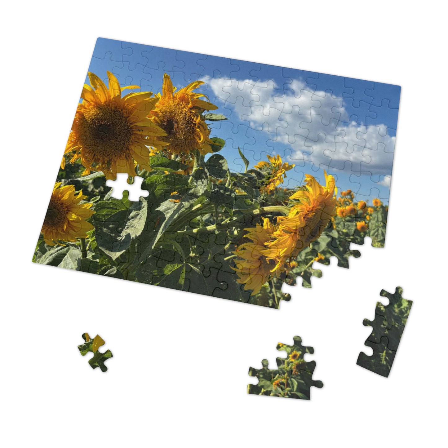 Jigsaw Puzzle: Afternoon Sunflower