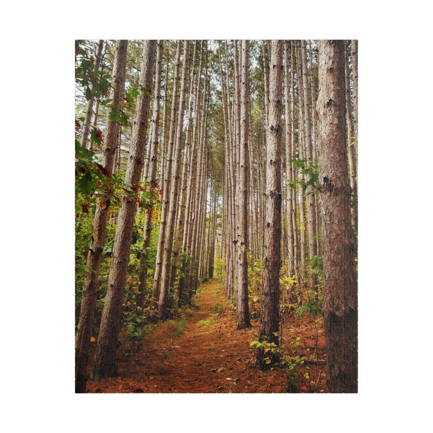 Pine-sational Puzzling: A Walk on the Wild Side, Jigsaw Puzzle, Brain Teaser, Relaxation Activity, Cabin Decor, Holiday Gift
