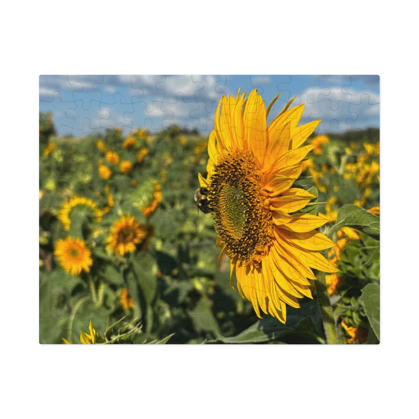 Jigsaw Puzzle - Bumble Bee on a Sunflower