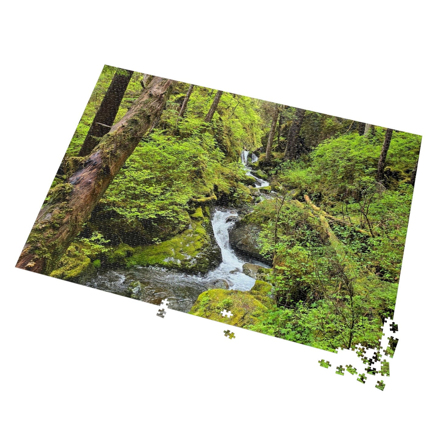 Jigsaw Puzzle - Alaskan Mountain Stream