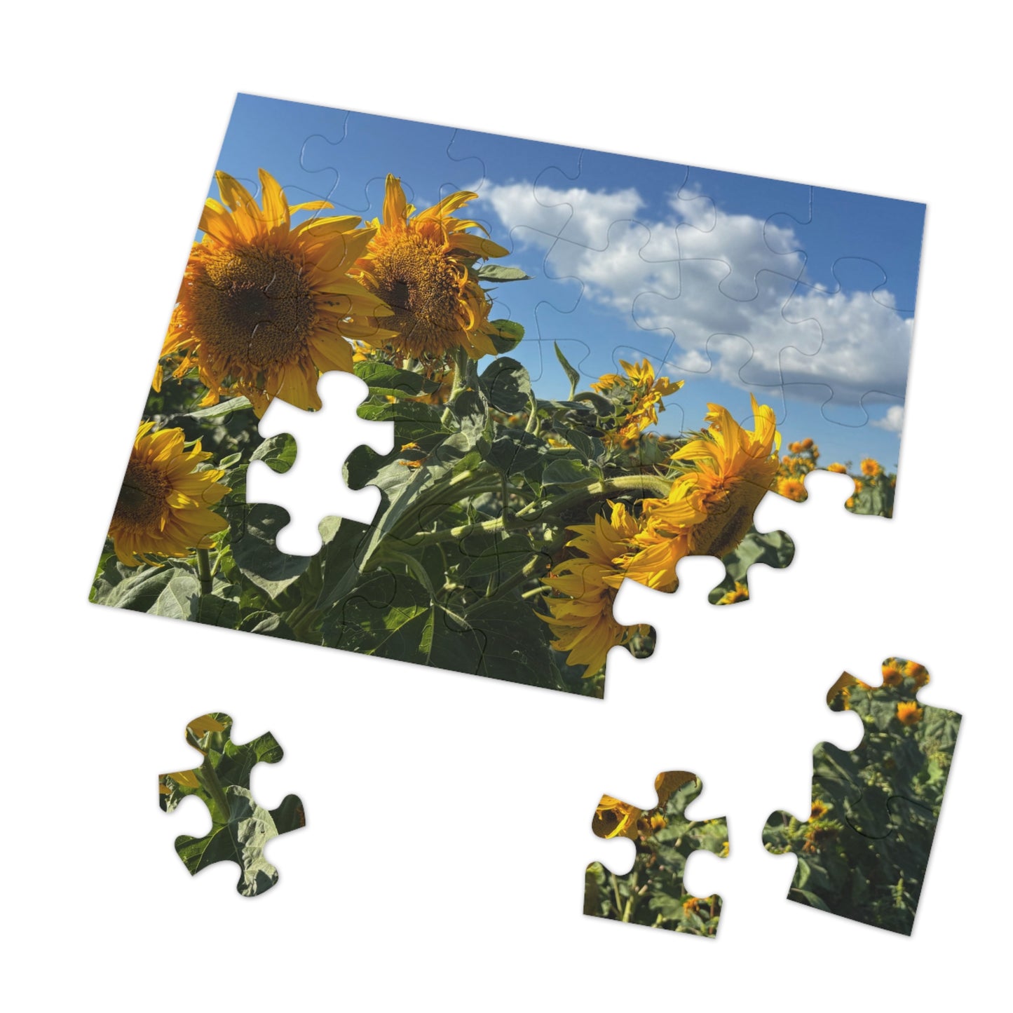 Jigsaw Puzzle: Afternoon Sunflower