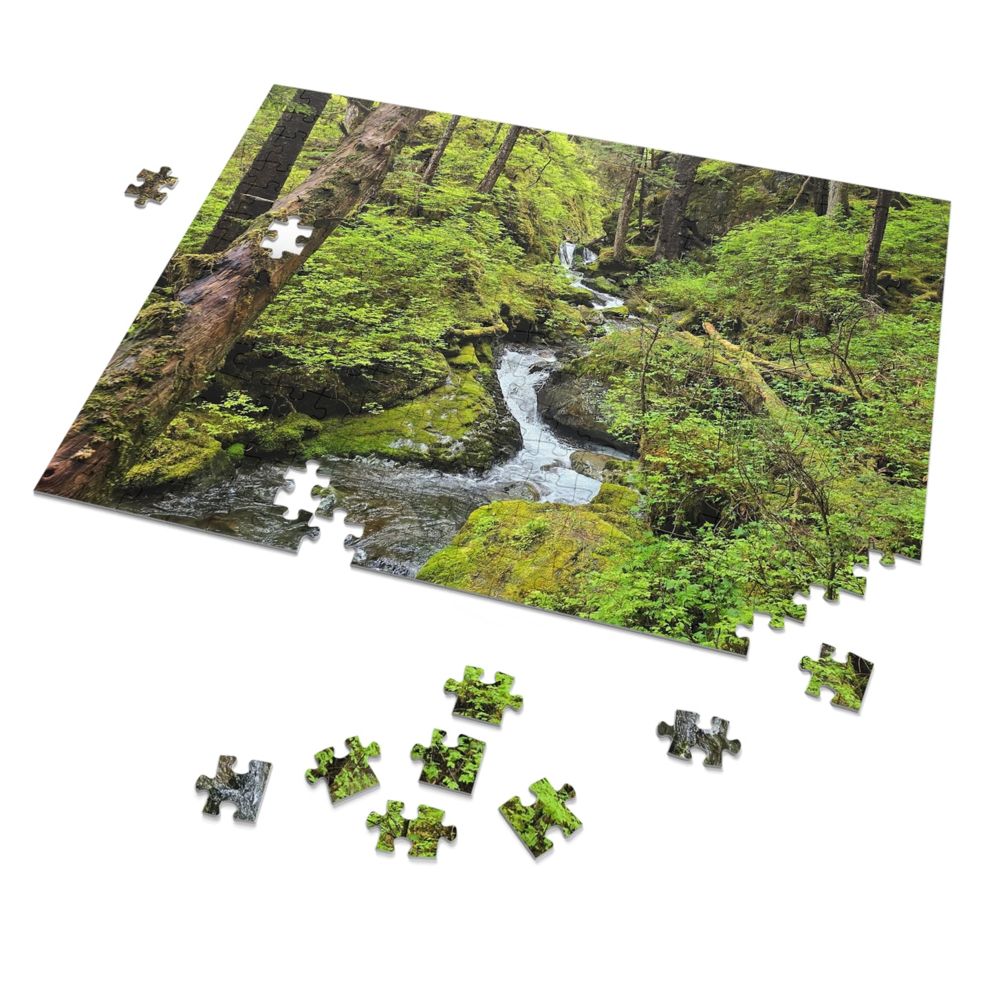 Jigsaw Puzzle - Alaskan Mountain Stream
