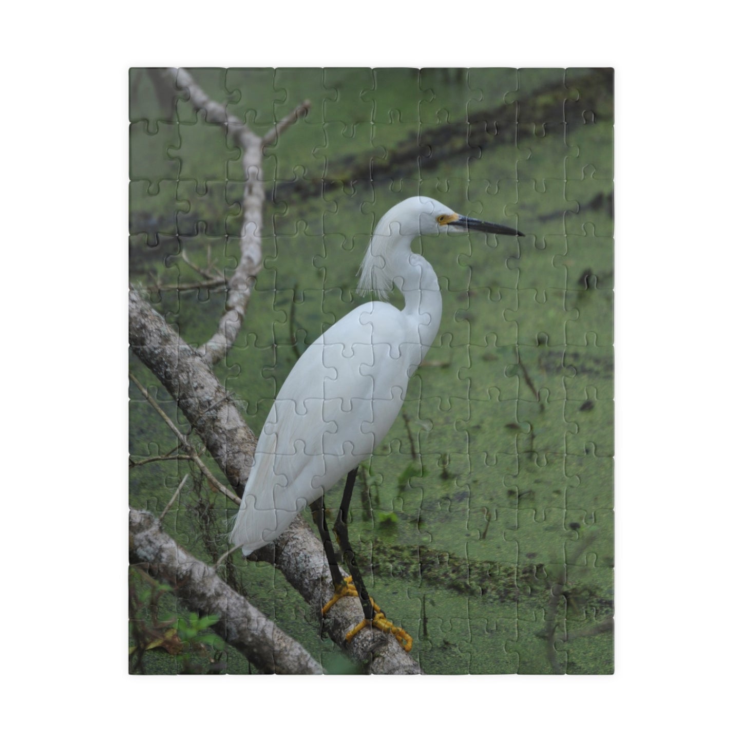 Egret Expectations: A Puzzling Escape into Serenity, Jigsaw Puzzle, Little Egret