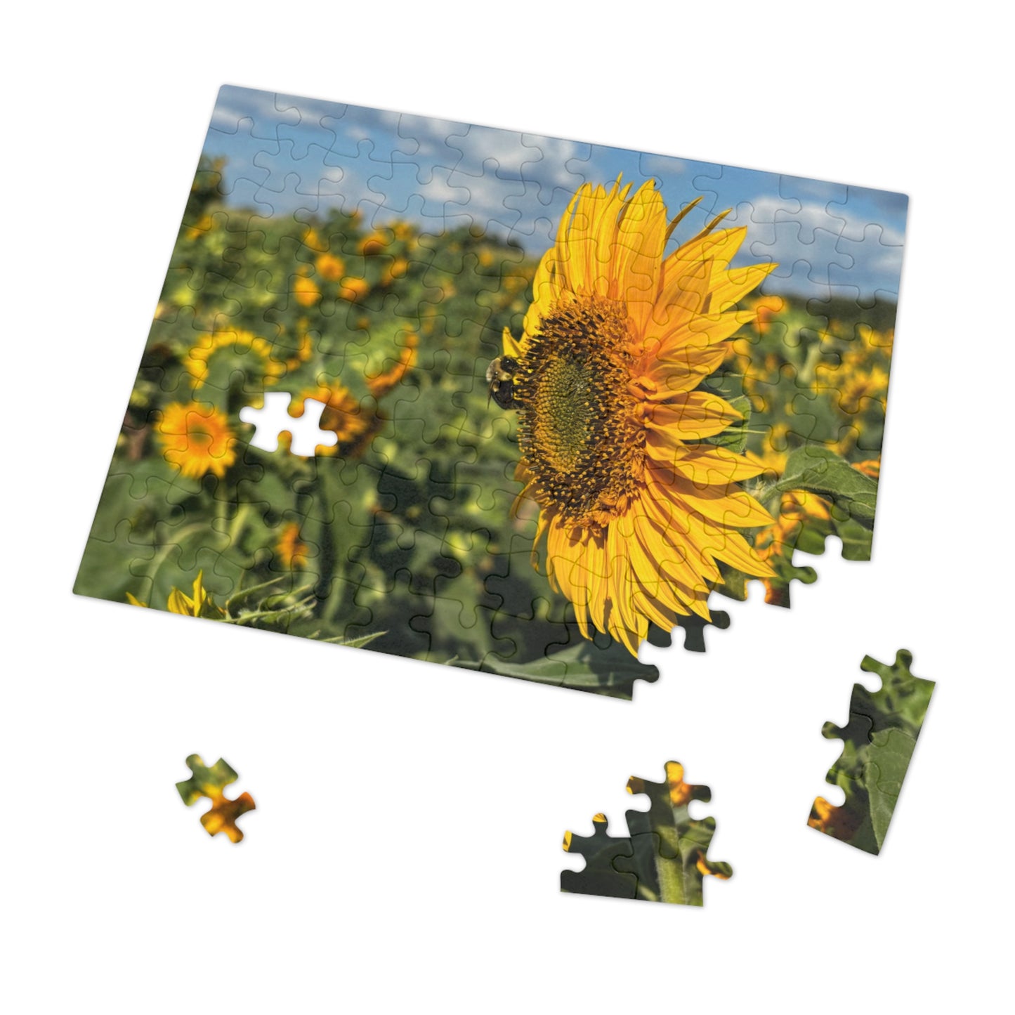 Jigsaw Puzzle - Bumble Bee on a Sunflower