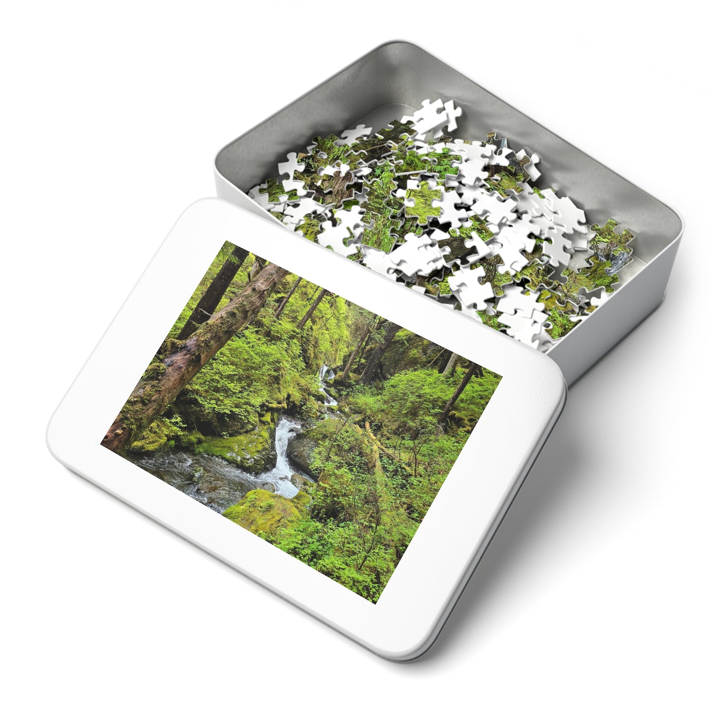 Jigsaw Puzzle - Alaskan Mountain Stream