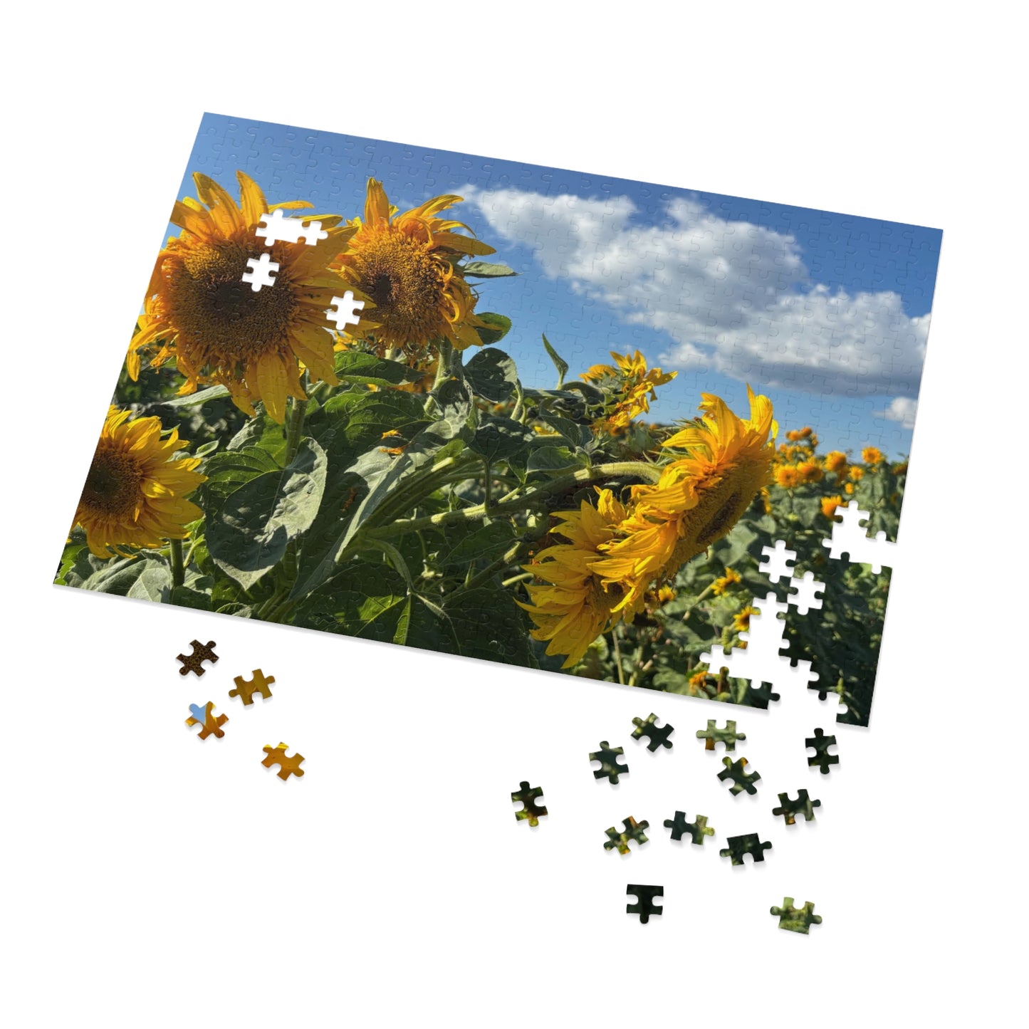 Jigsaw Puzzle: Afternoon Sunflower