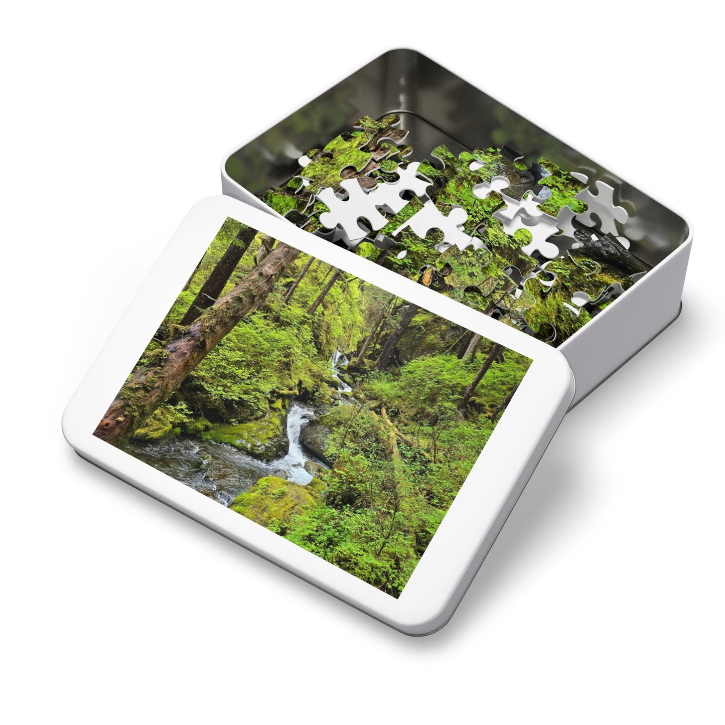 Jigsaw Puzzle - Alaskan Mountain Stream