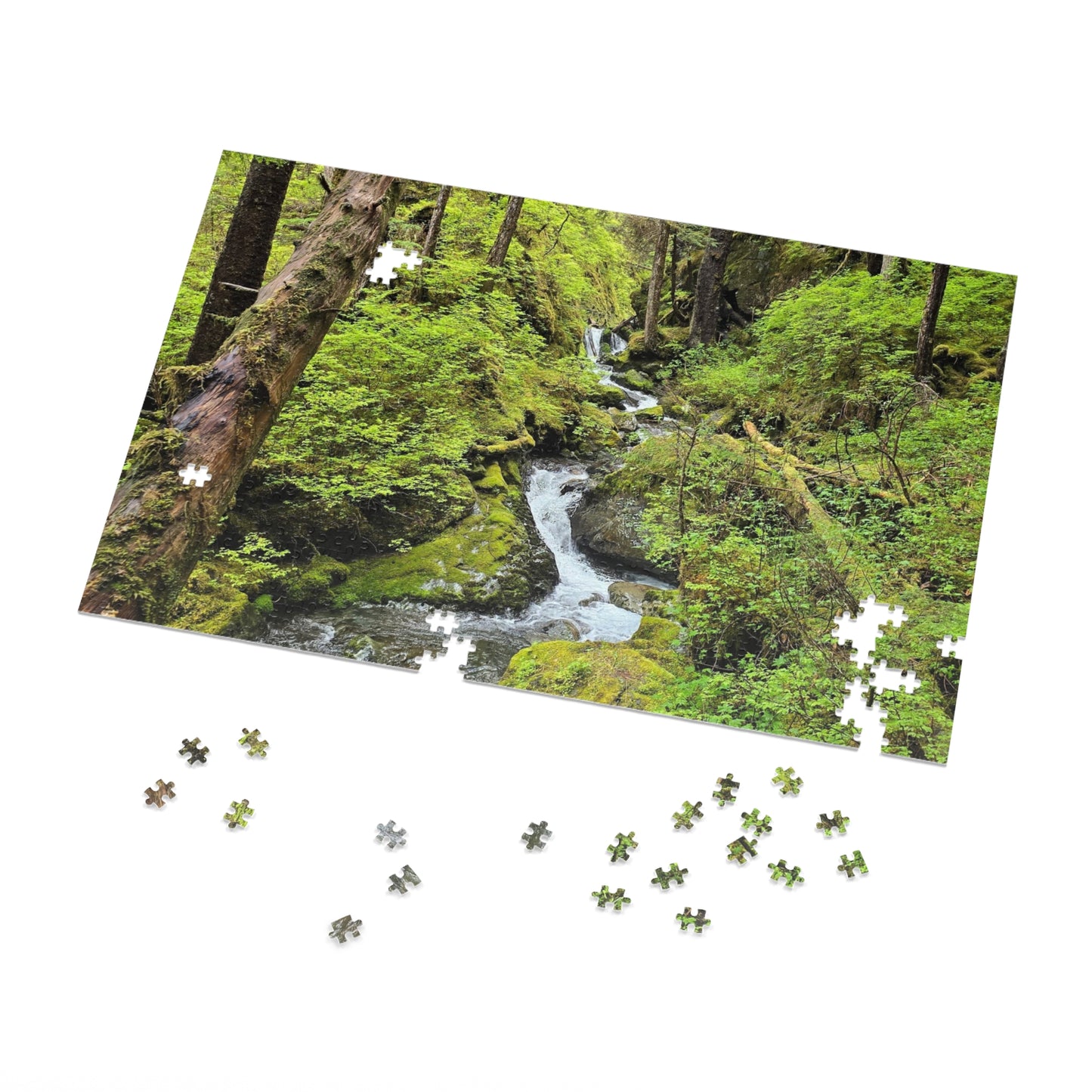 Jigsaw Puzzle - Alaskan Mountain Stream