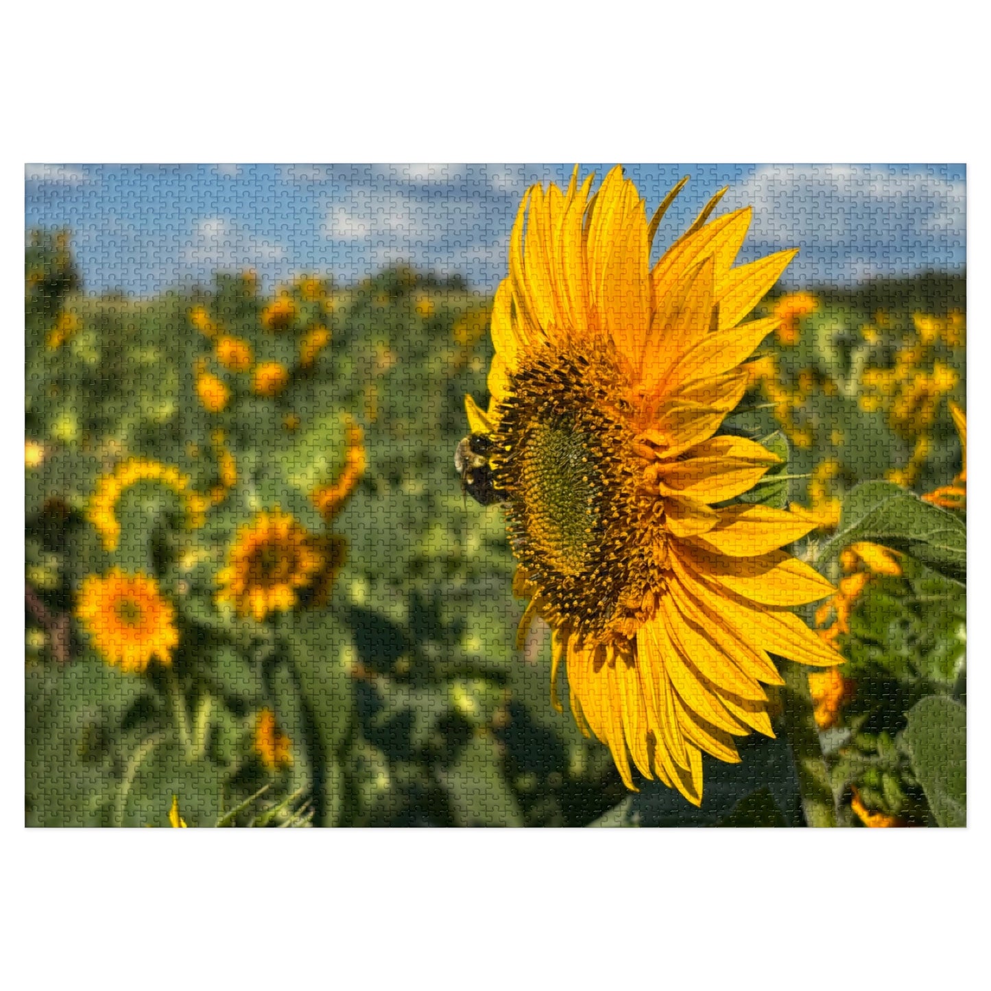 Jigsaw Puzzle - Bumble Bee on a Sunflower