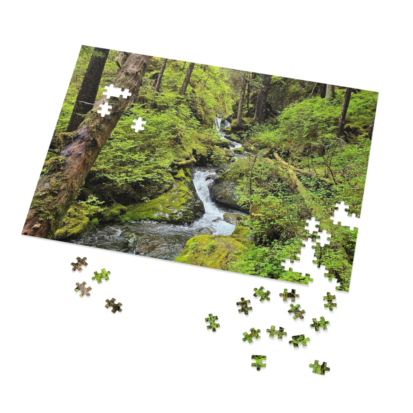 Jigsaw Puzzle - Alaskan Mountain Stream