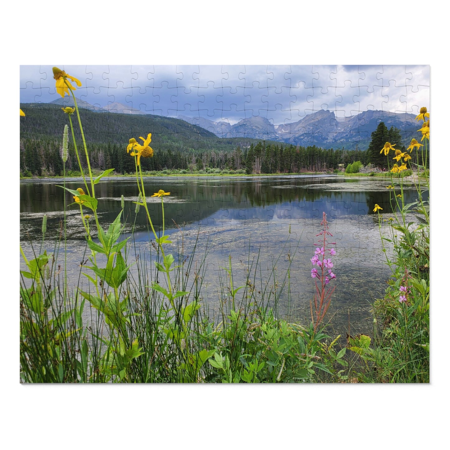 A Walk to Remember, Now in 2,000 Tiny Pieces, Jigsaw Puzzle, Rocky Mountain National Park