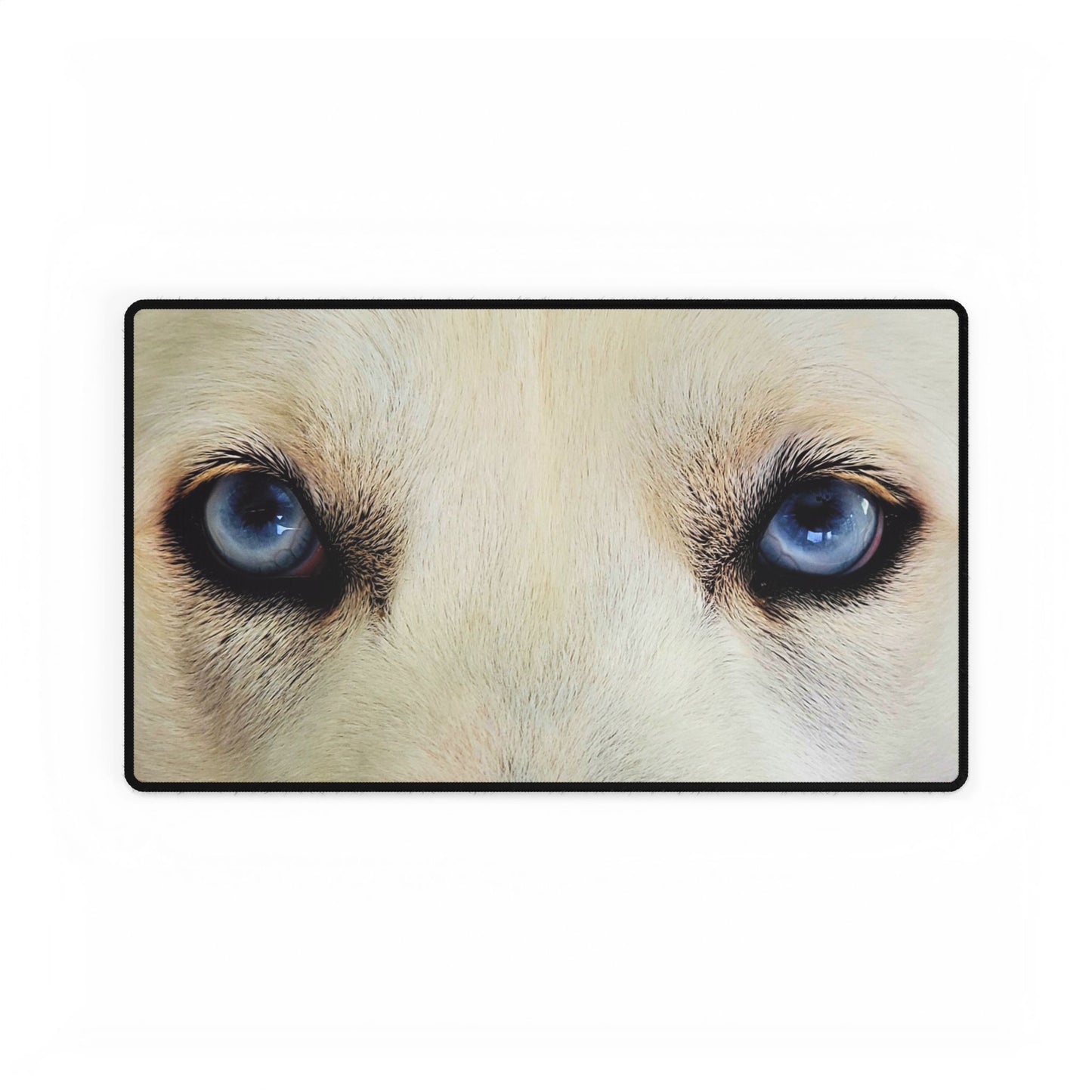 Work Hard, Human—Treats Don’t Buy Themselves Desk Mats, Siberian Husky's watching eyes - for dog lovers, home office decor, gift for pet owners, desk accessory, animal lover desk mat