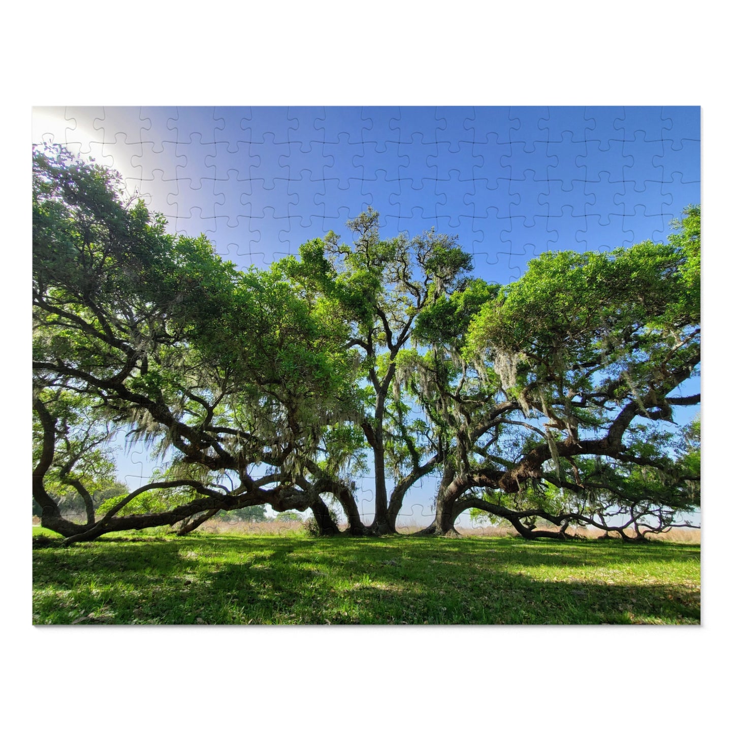 Branch Out with Our Oak Tree Puzzle!, Jigsaw Puzzle with Tin