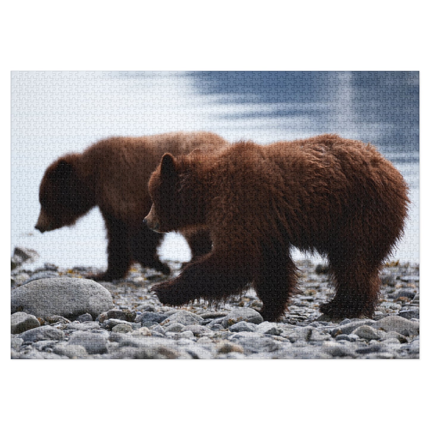 Cuddle Up with Grizzly Cubs!, Jigsaw Puzzle with Tin