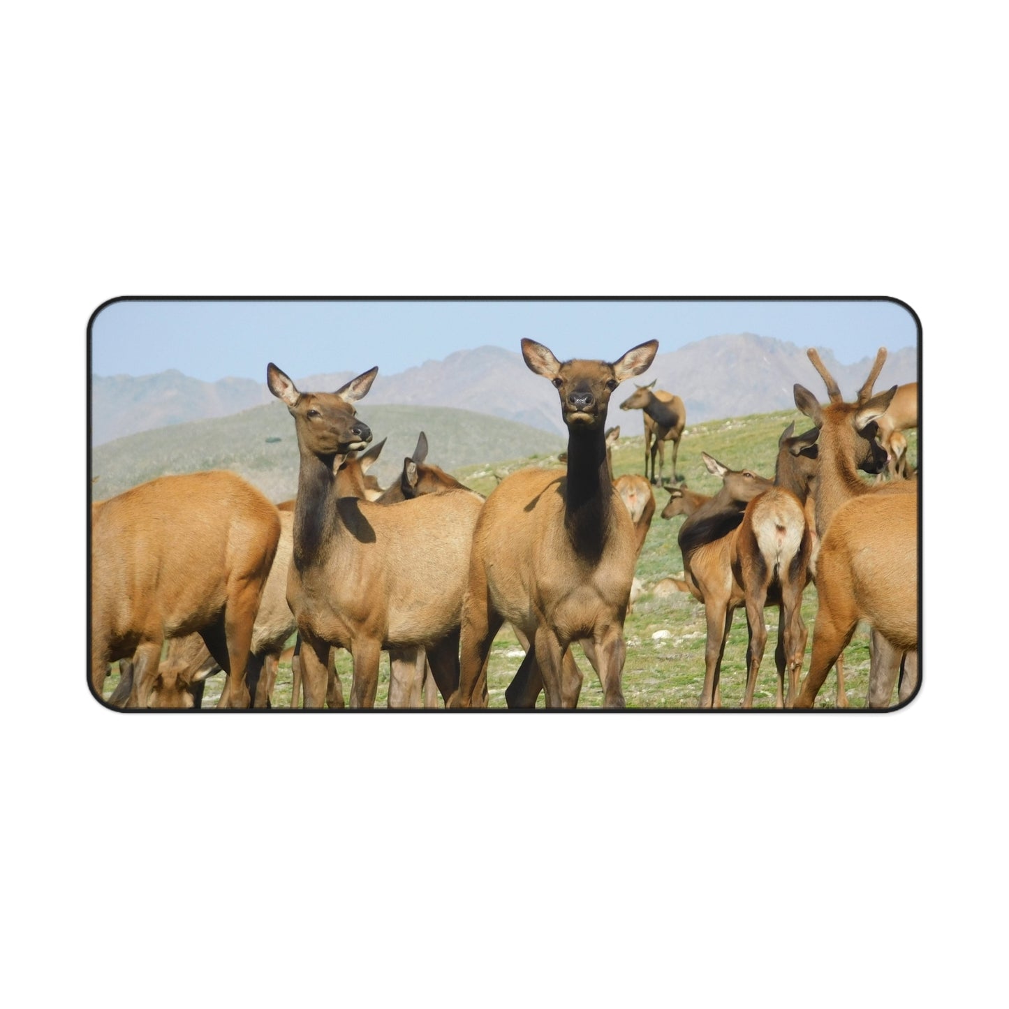 Elk-squisite Daydreams Desk Mat, Mouse Pad