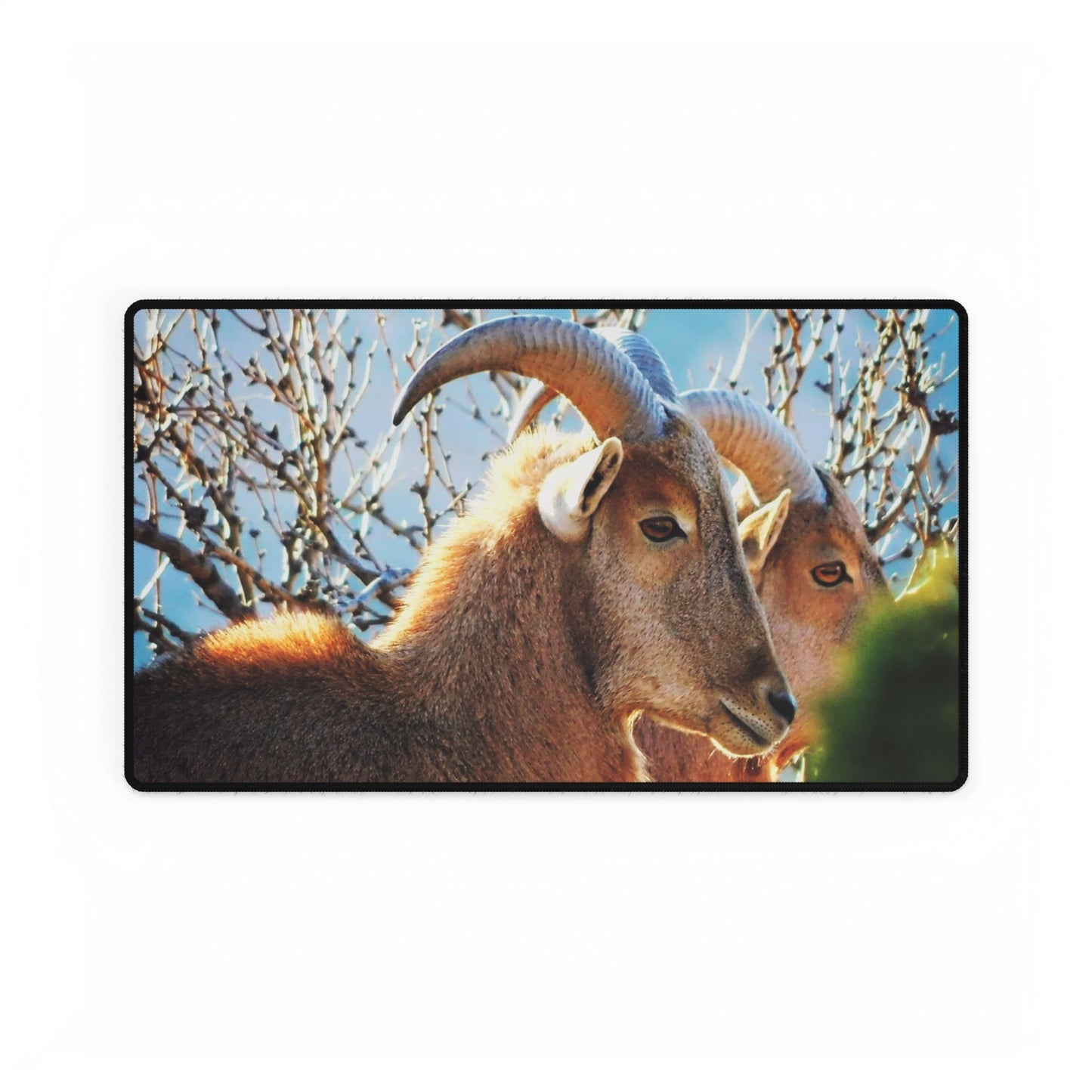 Aoudad Sheep Desk Mat, Workday Escape, One Daydream at a Time