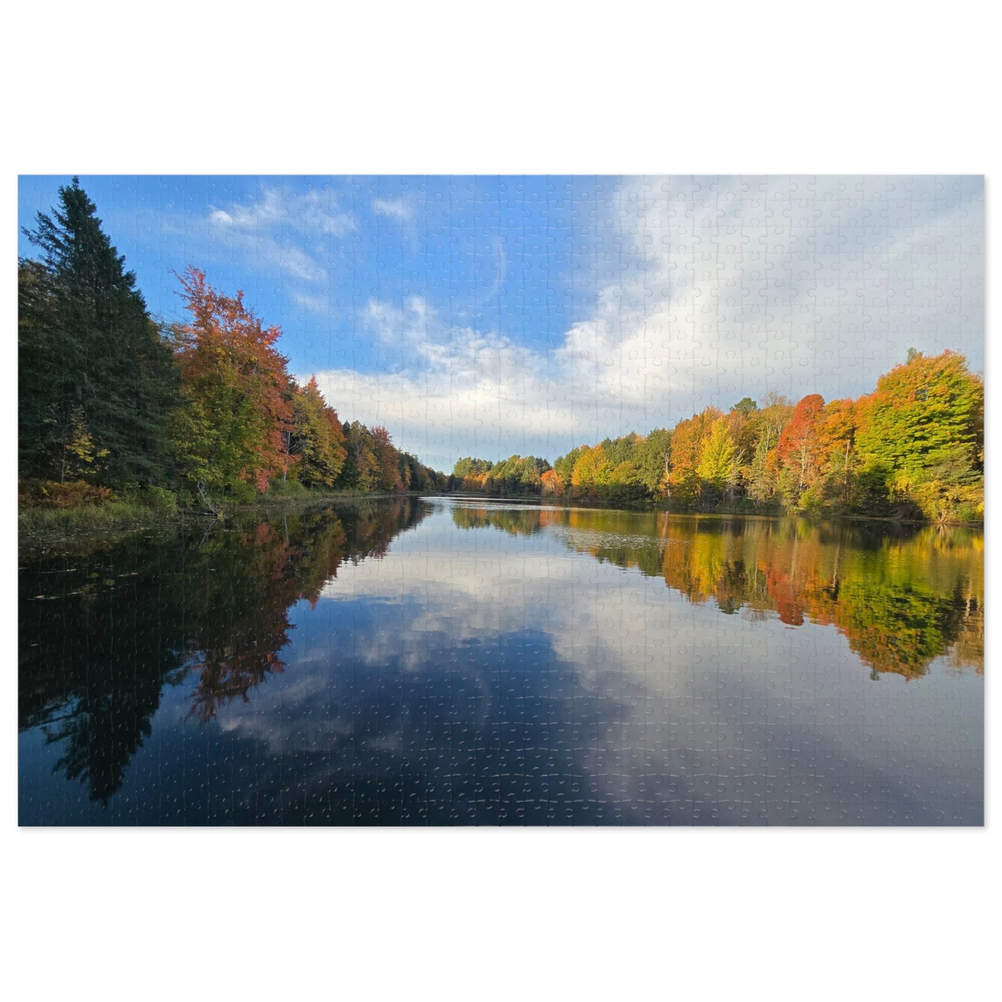 Pond Reflections, Nature Puzzle