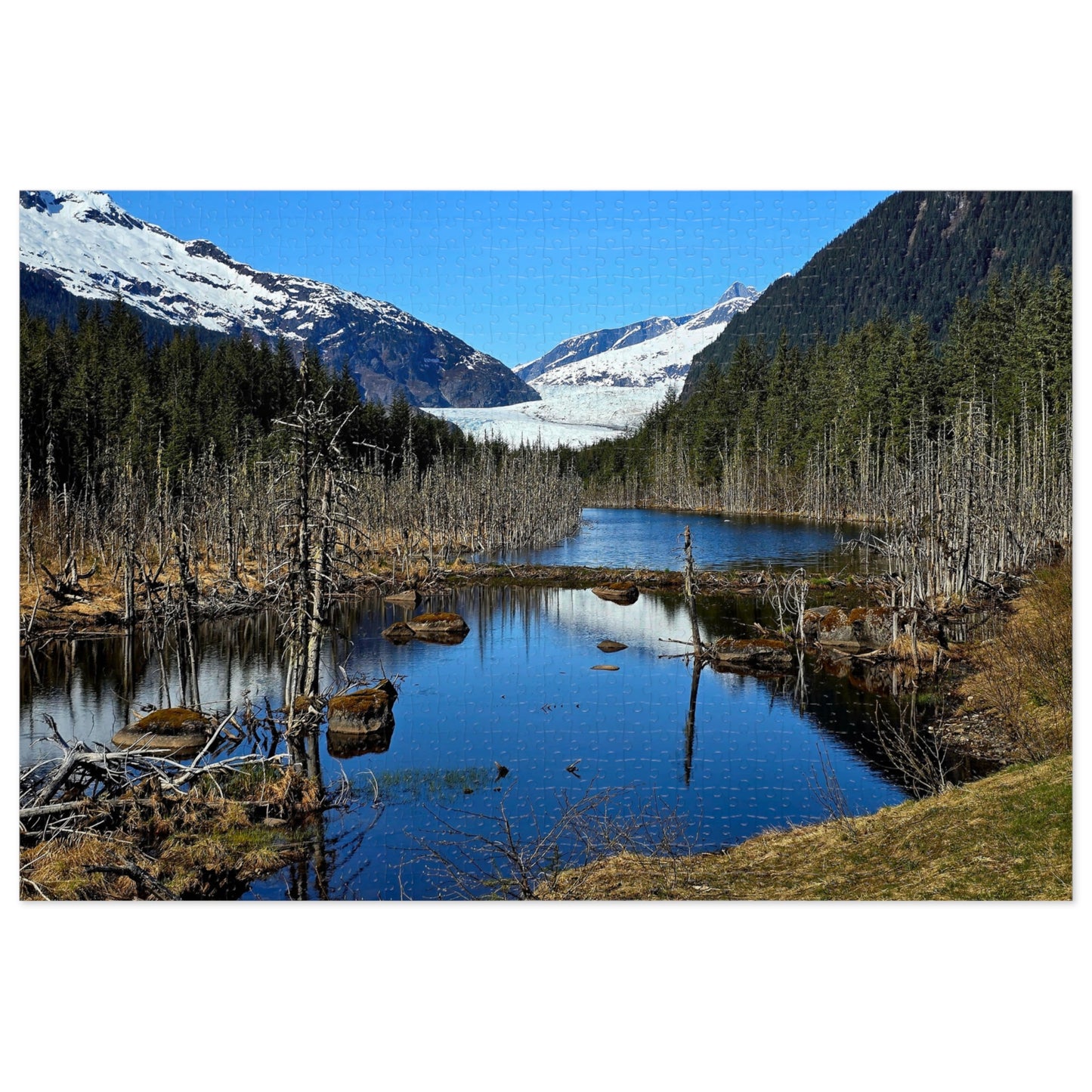 The Coolest Puzzle You’ll Ever Piece Together, Jigsaw Puzzle, Mendenhall Glacier