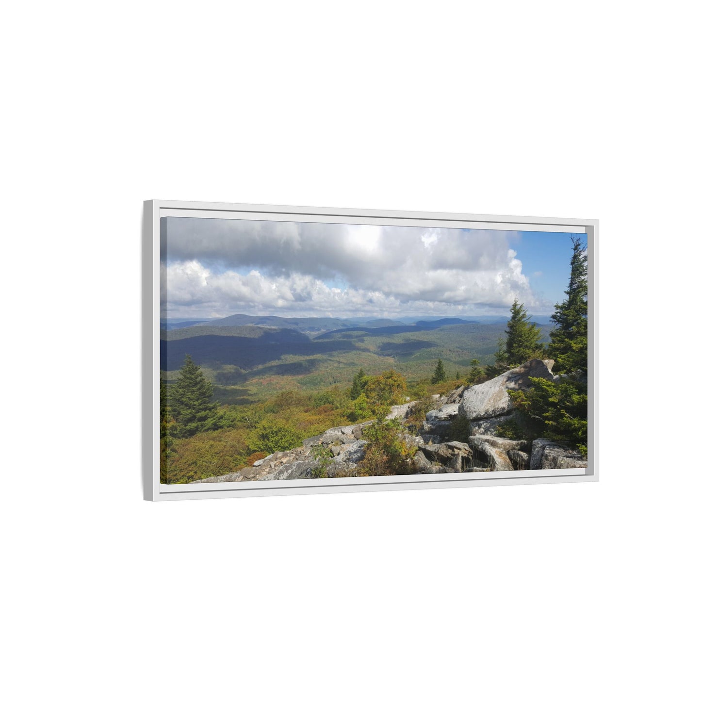 Spruce Knob Summit View
