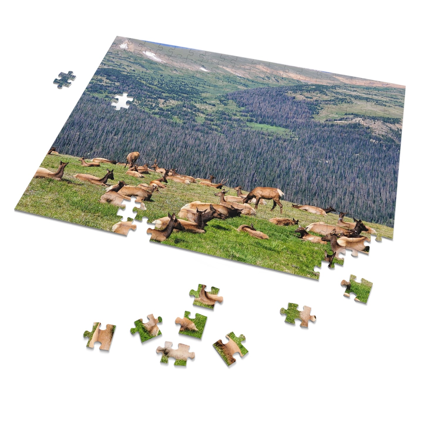 Elk-tastic Puzzling: A Wild Adventure!, Jigsaw Puzzle, Rocky Mountain, Elk Herd