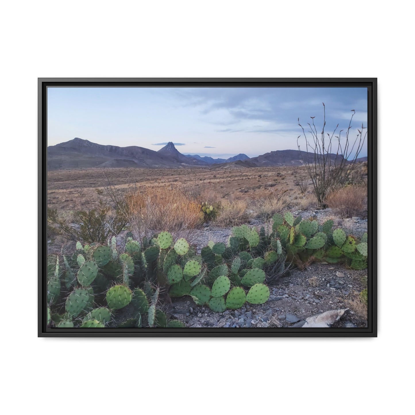 Terlingua Desert Sunset Matte Canvas Print (Framed)