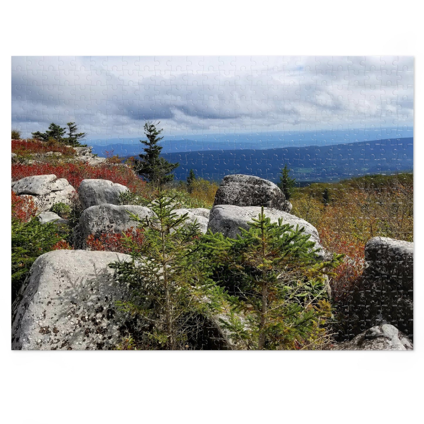 Bear Rocks: The Only Place Where You Can Get Lost—on Purpose, Jigsaw Puzzle: Bear Rocks Preserve