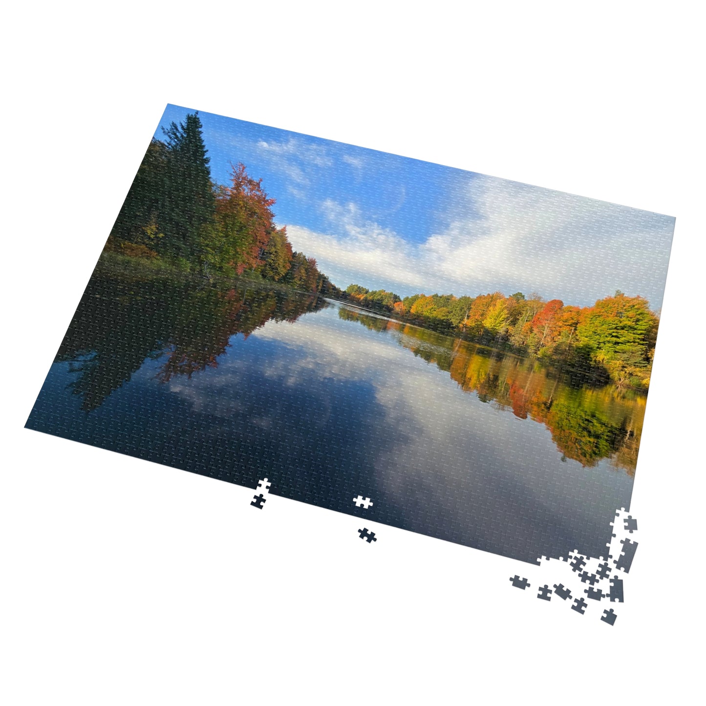 Pond Reflections, Nature Puzzle