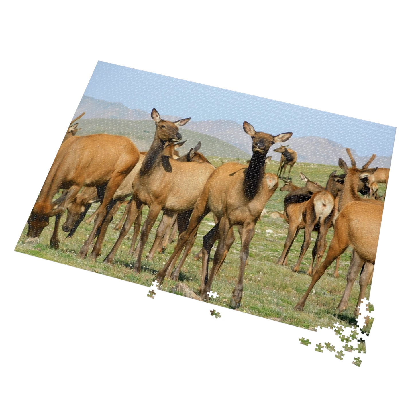 Elk-straordinary Challenge, Jigsaw Puzzle, Rocky Mountain Elk Herd