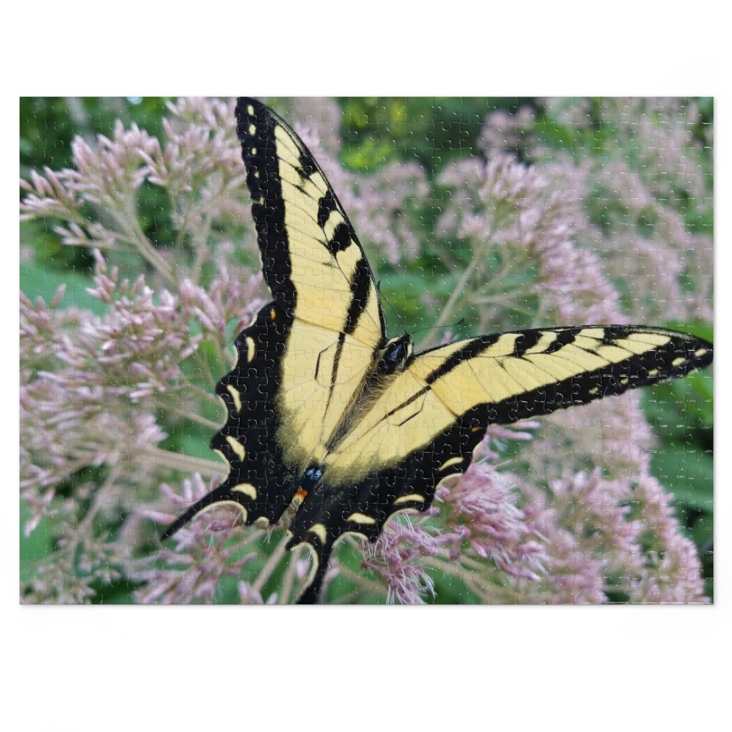 Winged Wonder on the Waterfront, Jigsaw Puzzle, Ohio River, Butterfly