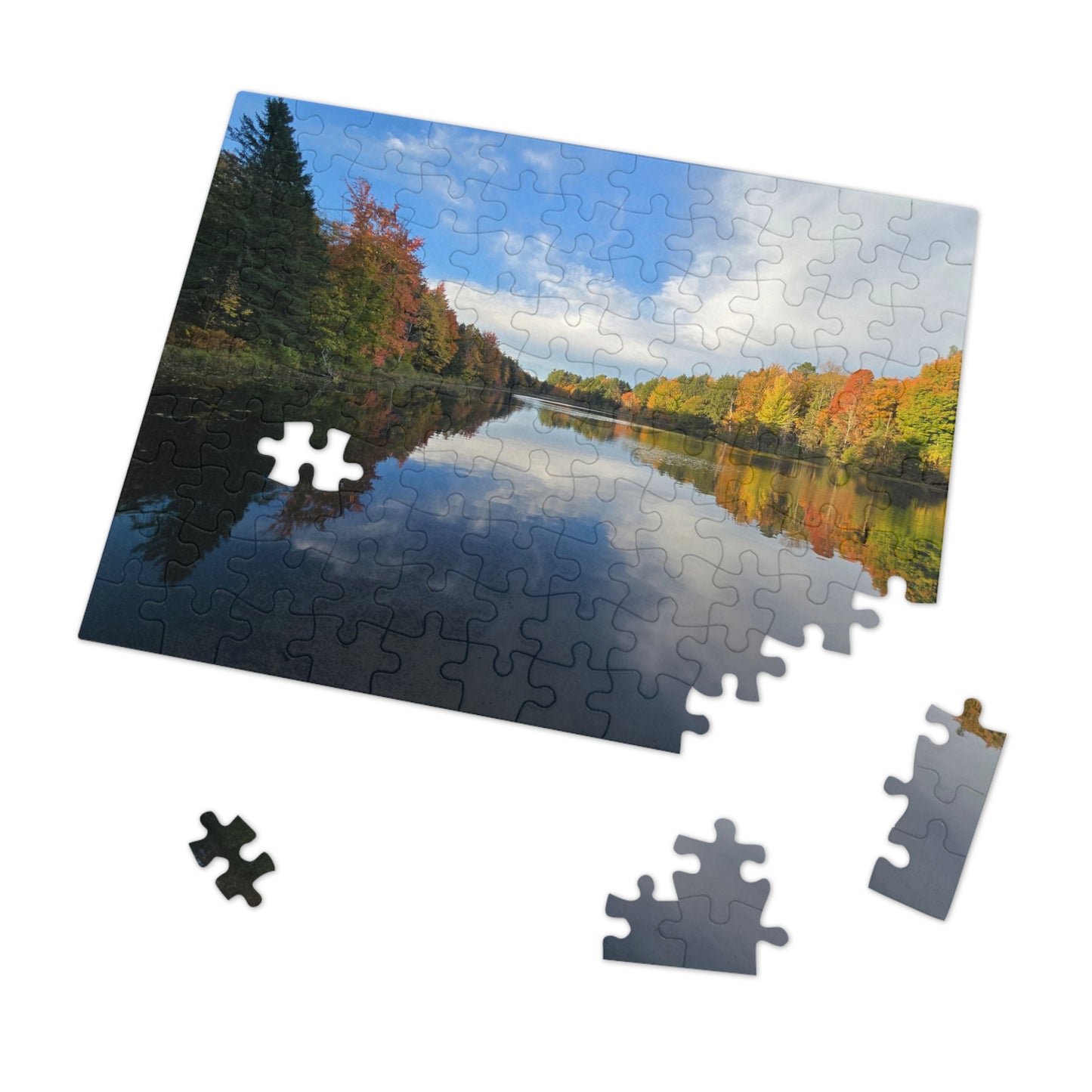 Pond Reflections, Nature Puzzle