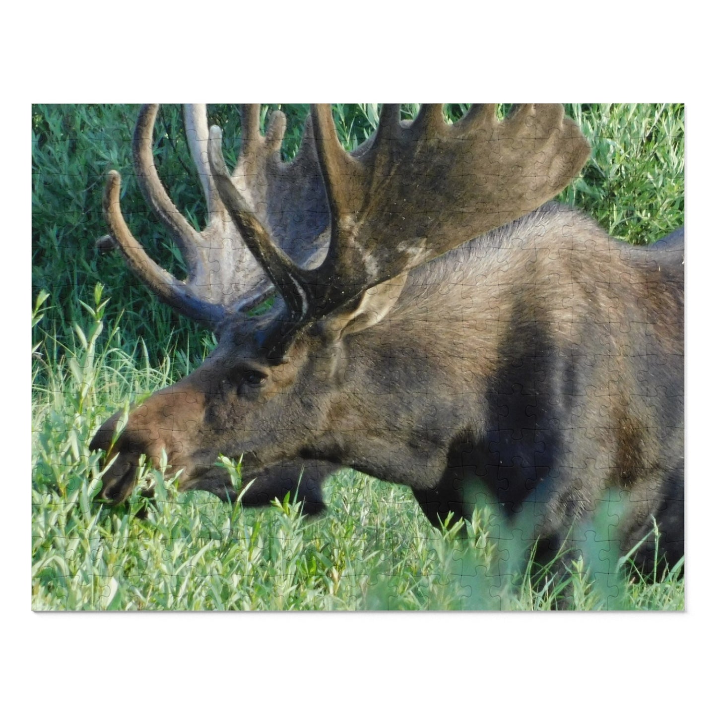 Moose on the Loose: Puzzle Edition, Jigsaw Puzzle, Rocky Mountain