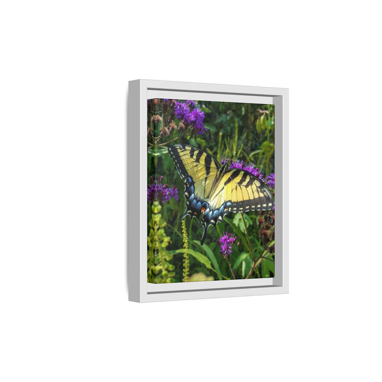 Tiger in the Wildflowers